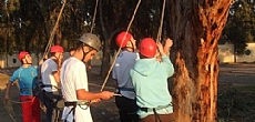 היחידה לקידום נוער