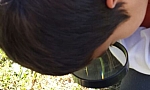 גינה בגן