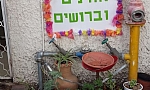 גינה בגן