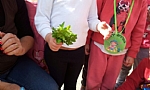 גינה בגן